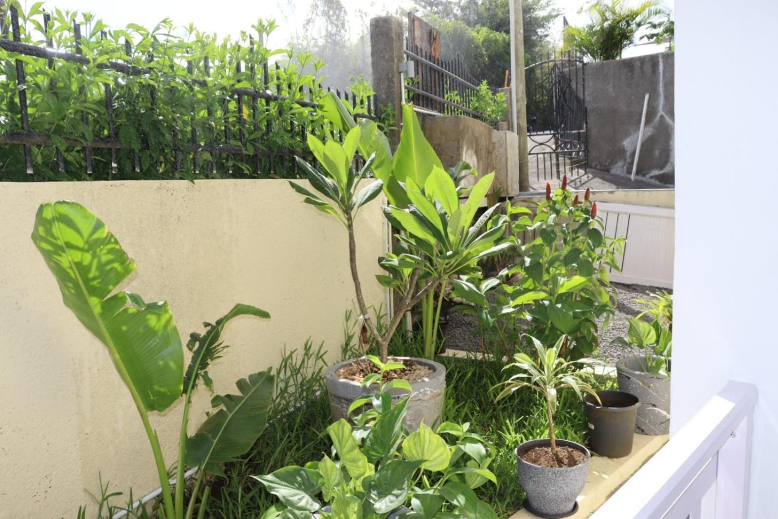 Garden Suite ทรู โดว์ ดูซ ภายนอก รูปภาพ